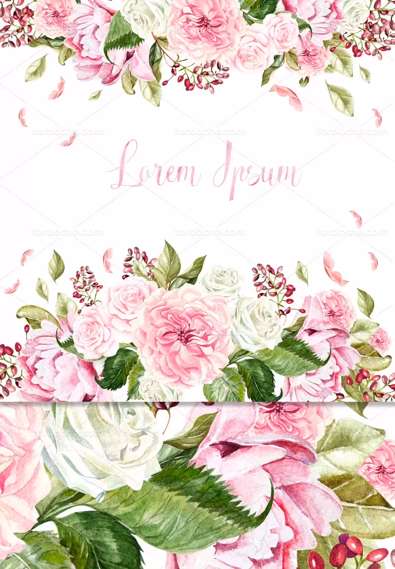 عکس کادر و حاشیه گل | گرافیک با طعم تربچه