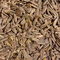 تخمه آفتابگردان با طعم گلپر 300 گرمی