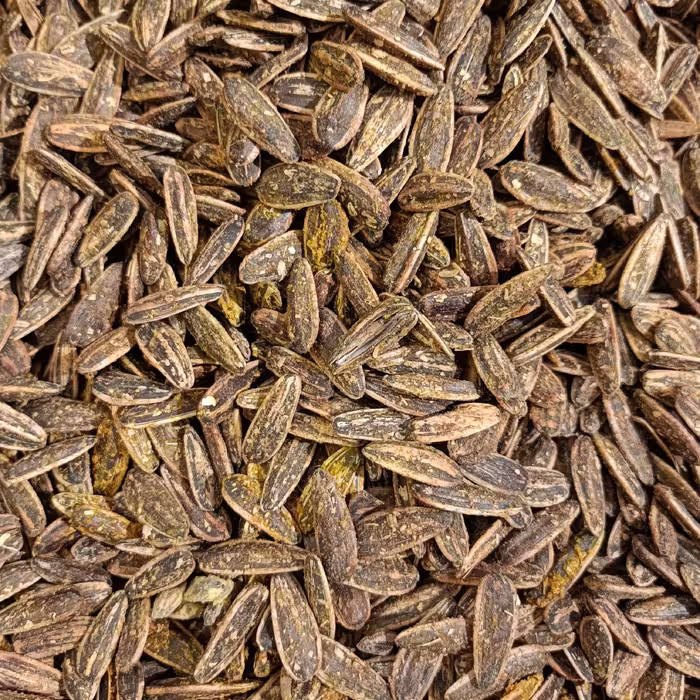 تخمه آفتابگردان با طعم گلپر 300 گرمی