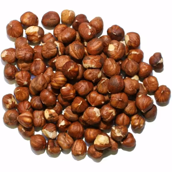 مغز فندق خام ممتاز اشکور (500 گرم) فیدنو