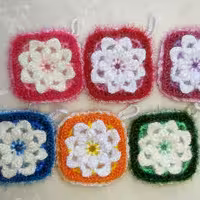 اسکاج پرستو 