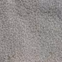 کنجد سفید خام 1 کیلویی