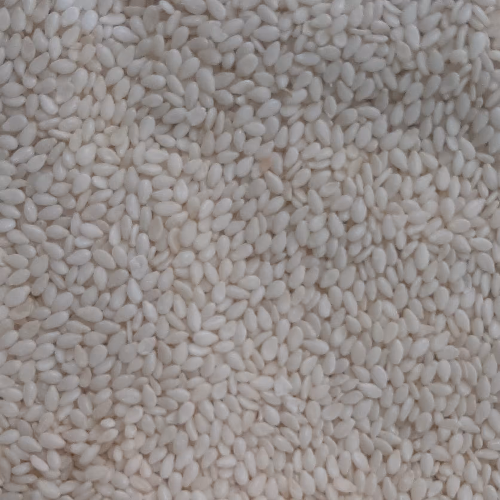 کنجد سفید خام 1 کیلویی