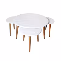 میز و عسلی سانی