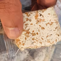 حلوا کنجد لقمه ای ارگانیک  بسته 100 کیلویی