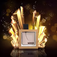 اسانس عطر دسکوارد2 هی وود مردانه حجم 25 گرم DSQUARED2 - He Wood