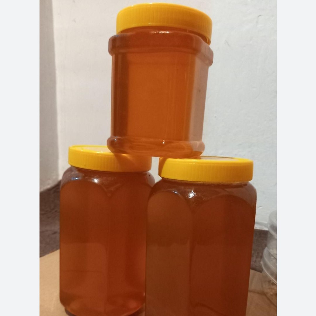 عسل کوهستان 1402محصولی از دل طبیعت کامتال گیاهی و درمانی ارسال مستقیم از زنبوردارصد درصدطبیعی