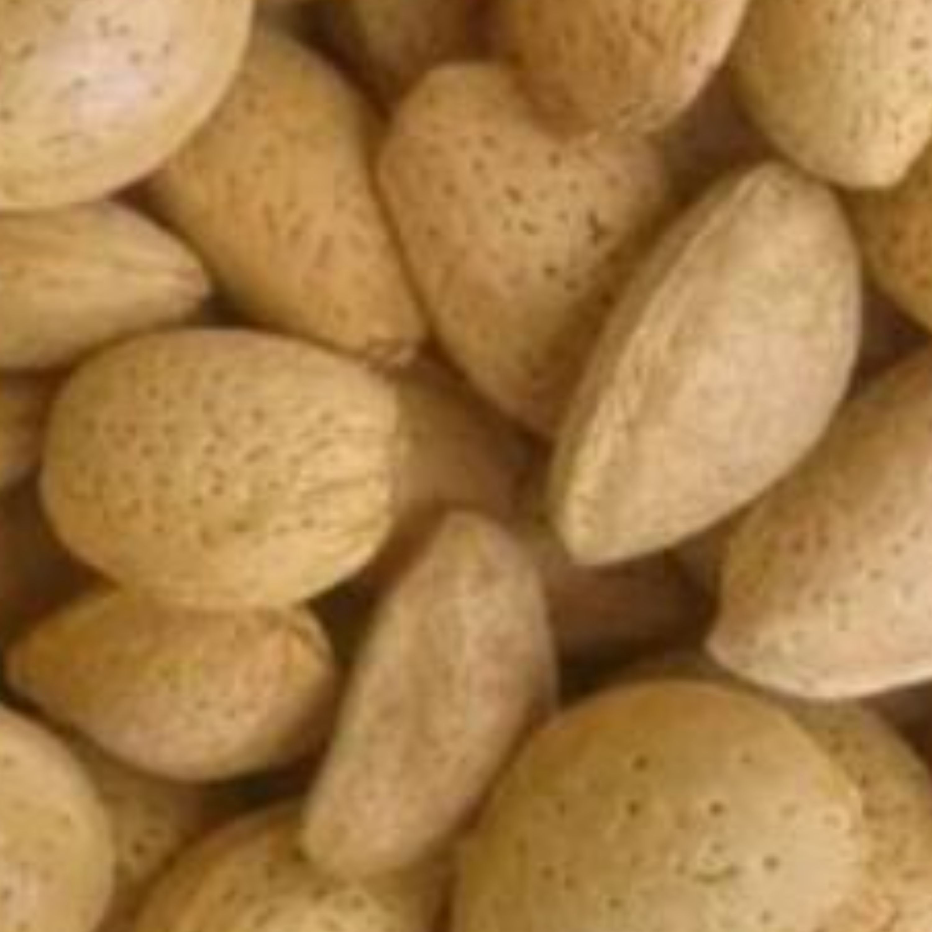 بادام سنگی