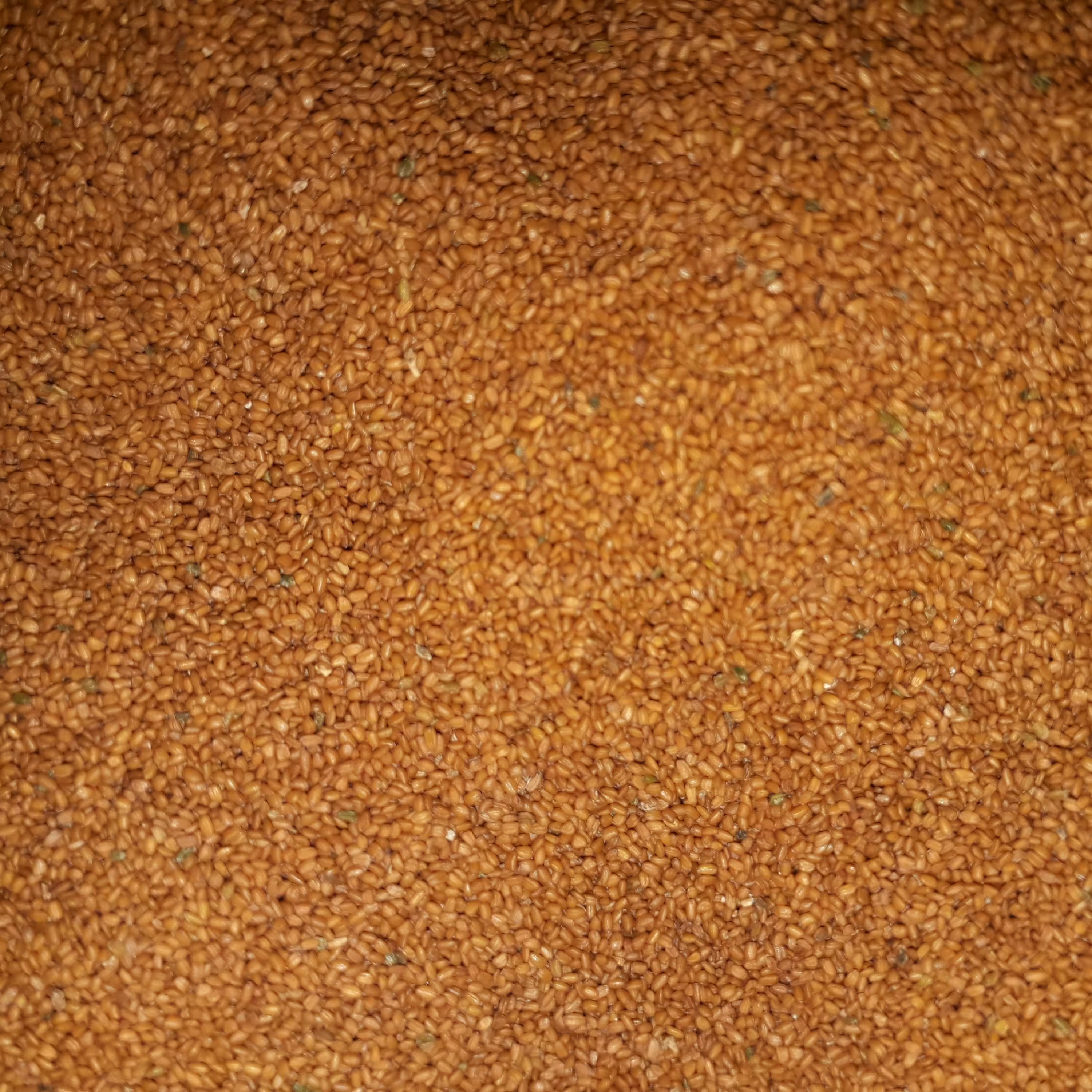 خاک شیر لوکس و خیلی تمیز همدان(900گرم)