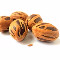 پودر جوزهندی اعلائ1000گرمیKFC