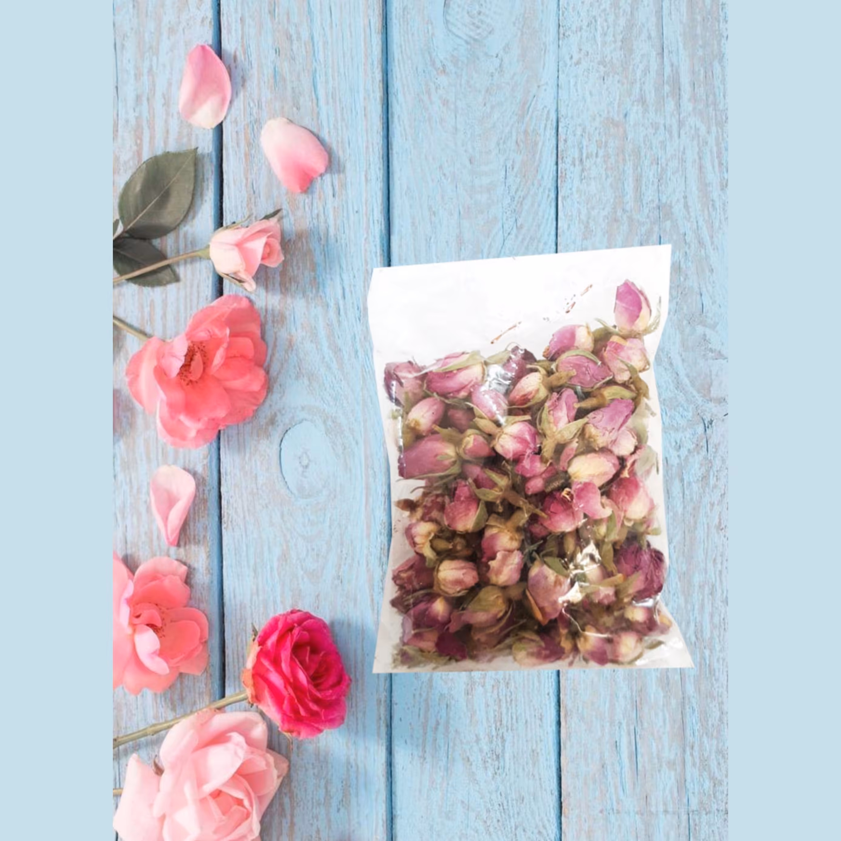 غنچه گل محمدی