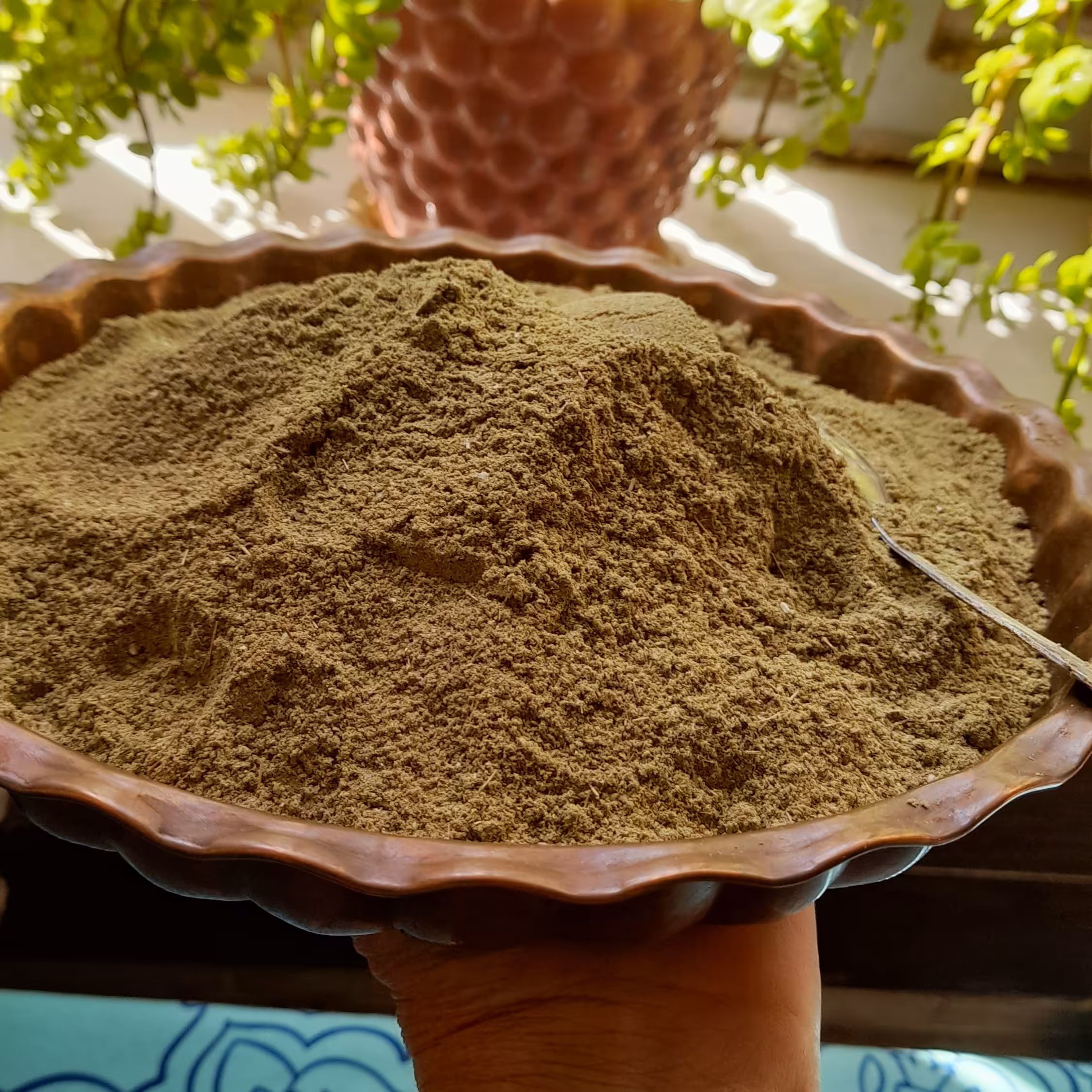 اویشن کوهی اصل معطر وتمیز تهیه شده از کوههای فارس 