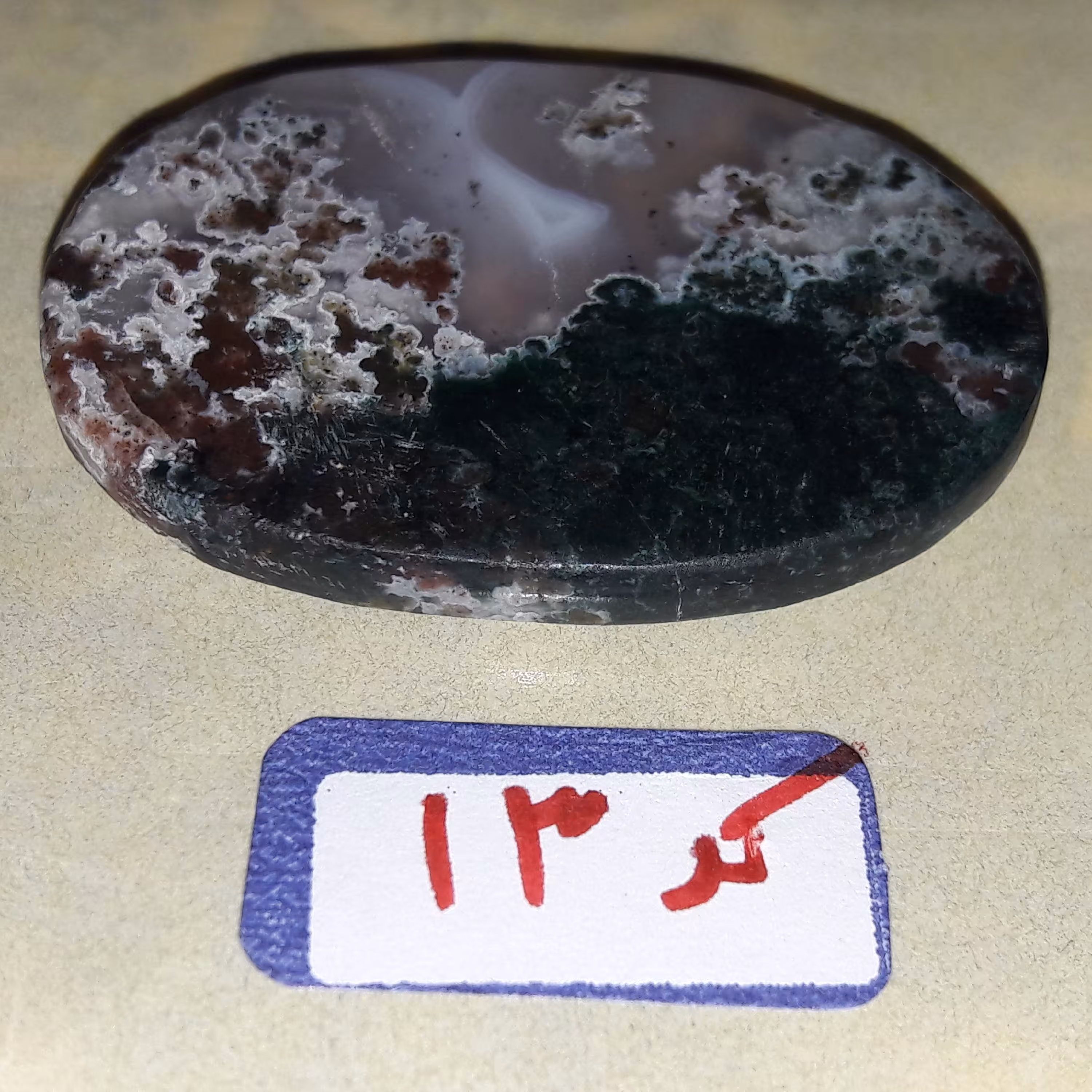 عقیق شجر دریایی کد 13