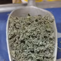 پونه درجه یک (شیرازی)