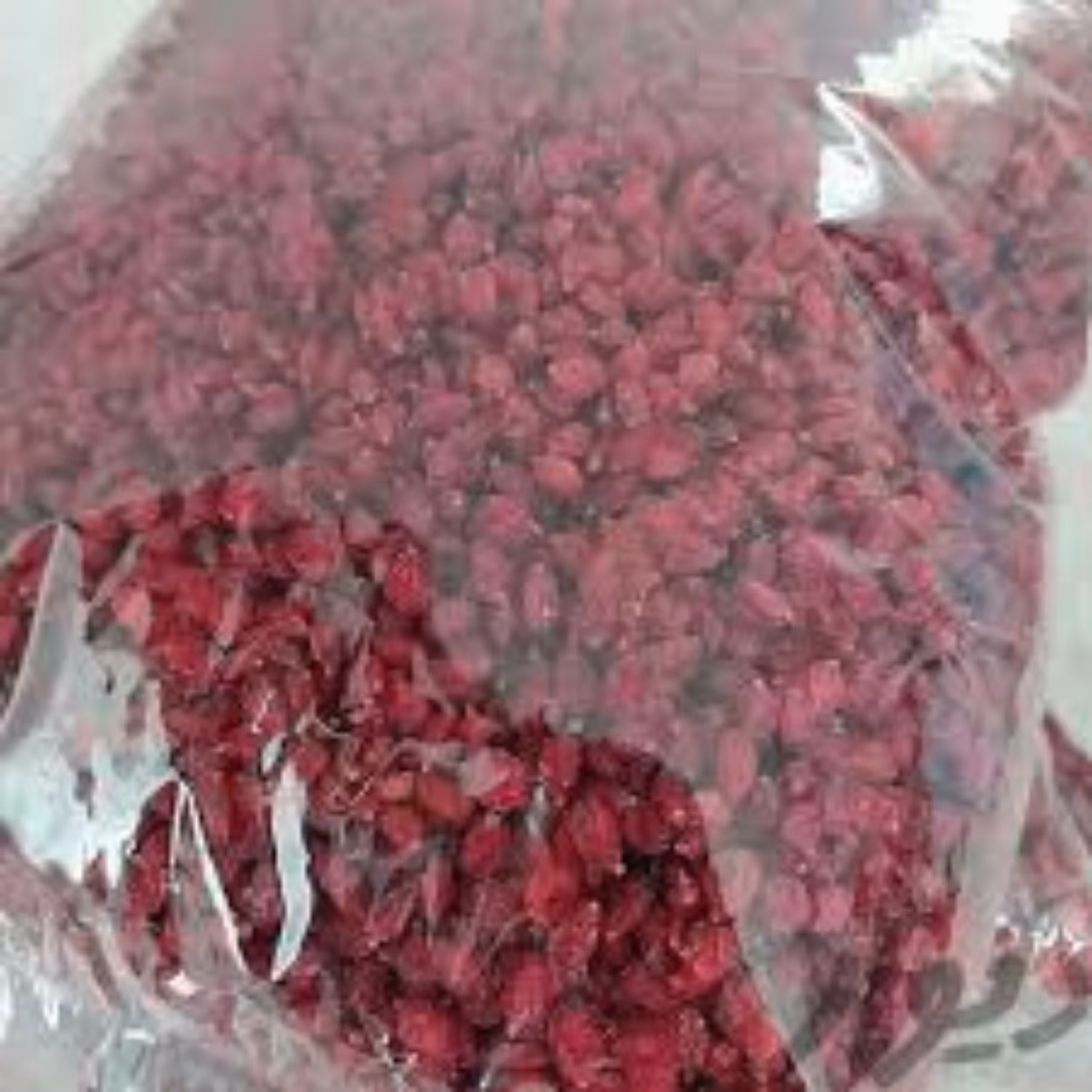 زرشک دانه اناری اعلا قائنات 500 گرمی