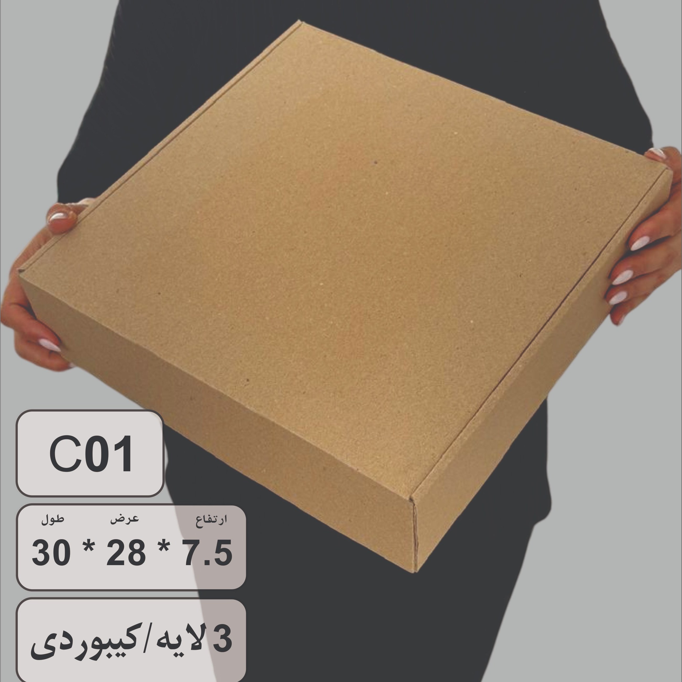 کارتن بسته بندی کیبوردی 8*30*30 بسته 50 عددی C01 (پس کرایه)