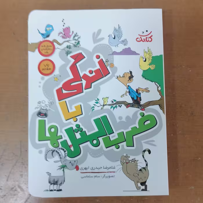کتاب زندگی با ضرب المثل ها توضیح 445 ضرب المثل زندگی ساز  نوشته سعید قاسمی نشر کتابک