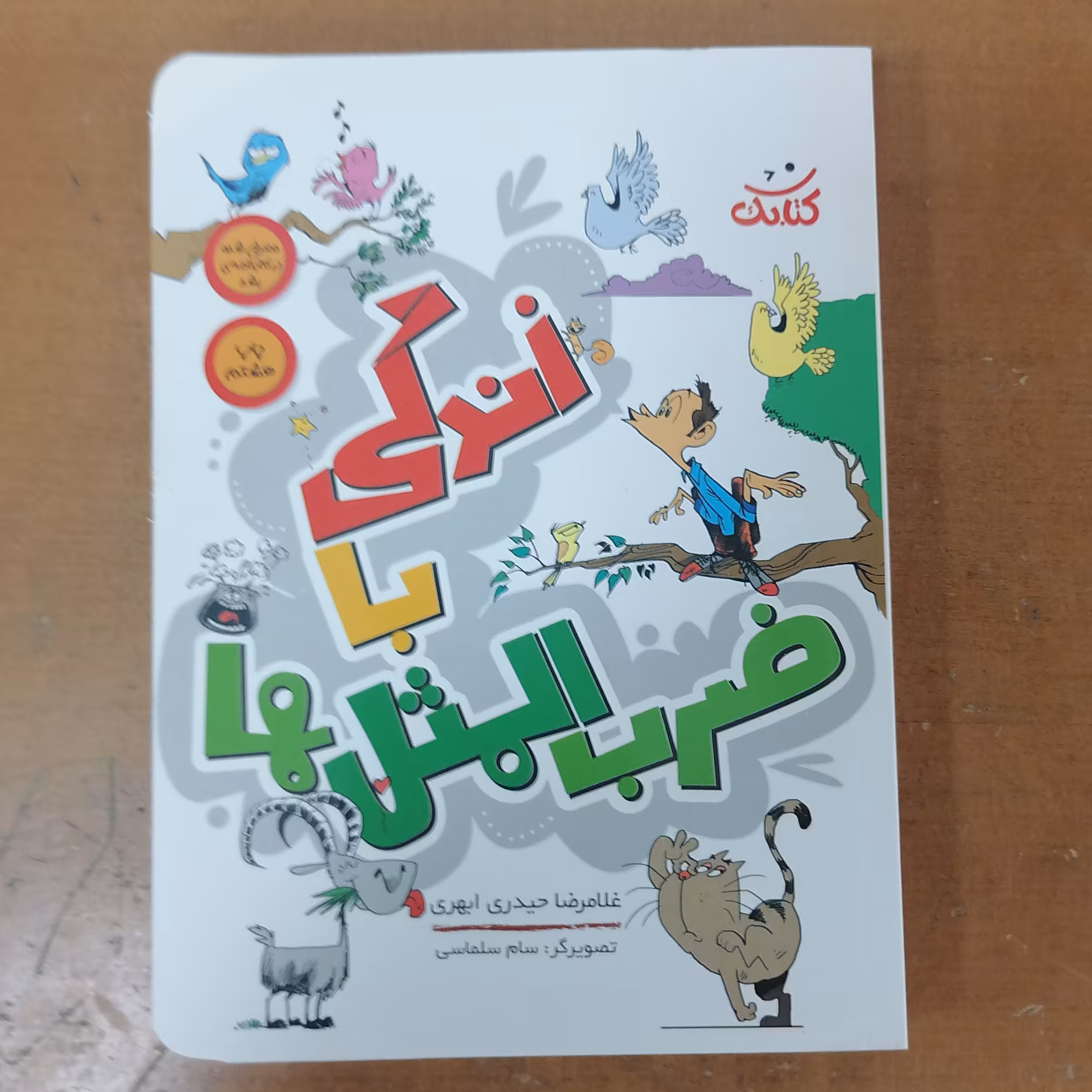 کتاب زندگی با ضرب المثل ها توضیح 445 ضرب المثل زندگی ساز  نوشته سعید قاسمی نشر کتابک