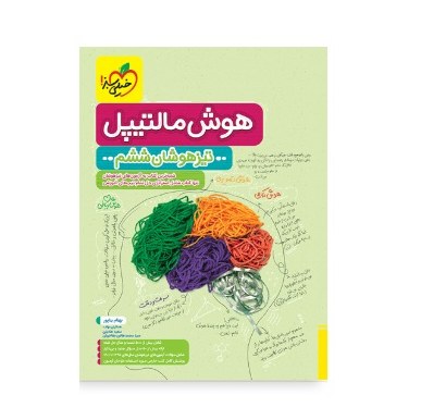 کتاب هوش مالتیپل تیزهوشان ششم خیلی سبز 