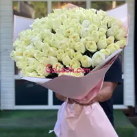 رز سفید هلندی 100 شاخه