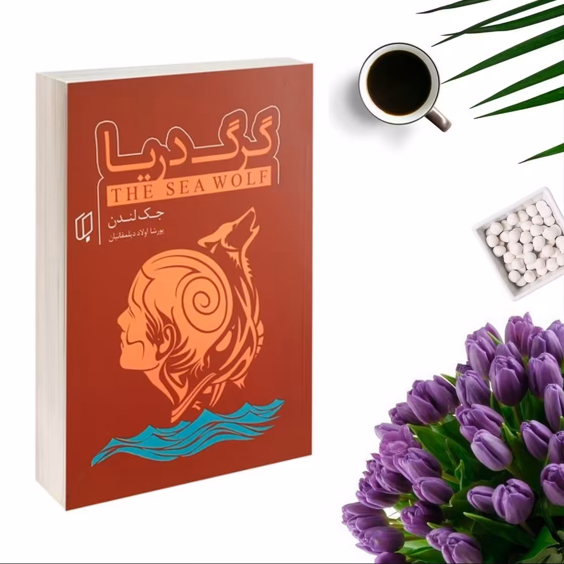 کتاب گرگ دریا اثر جک لندن انتشارات باران خرد