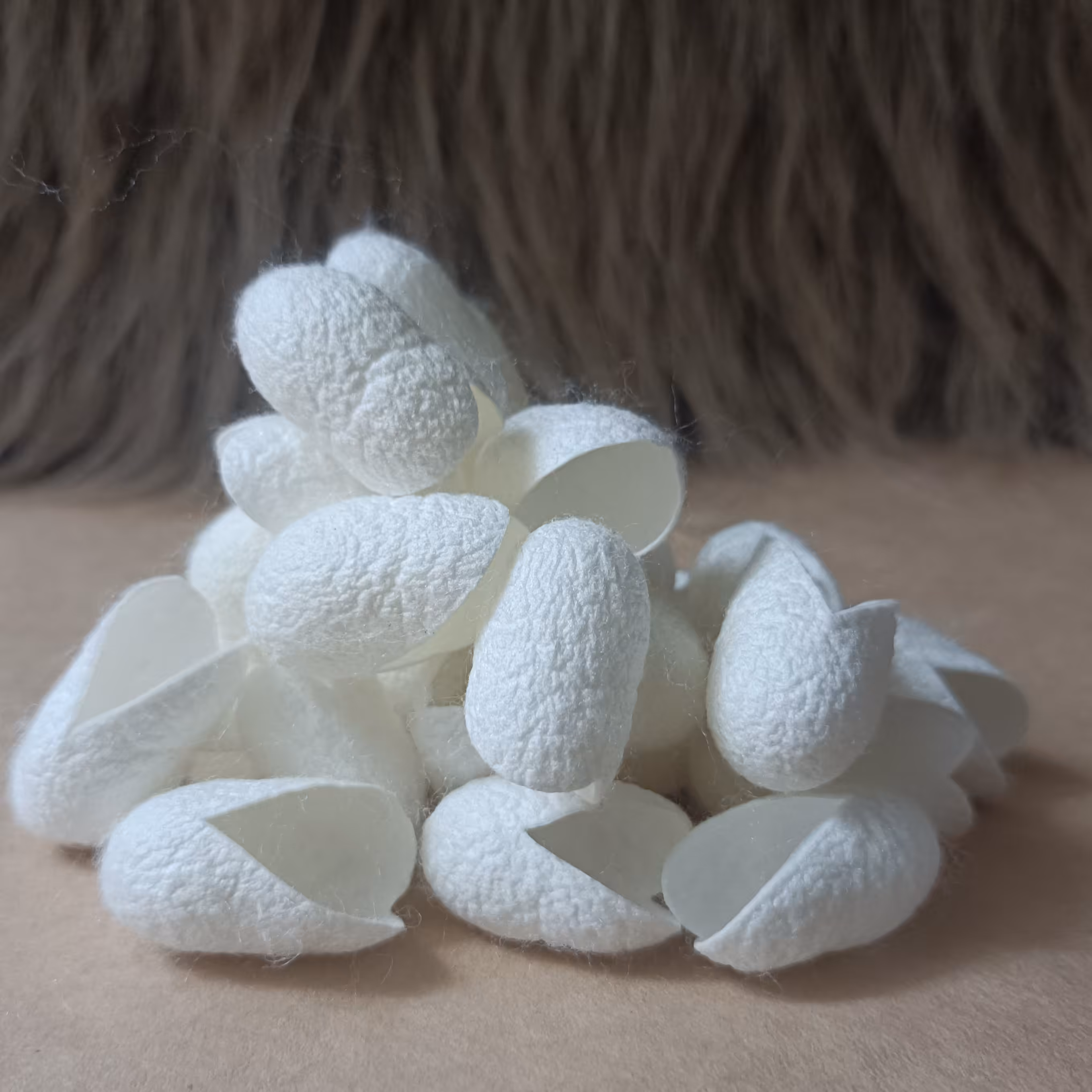 پیله ابریشم  اصلی درجه یک 15 عددی