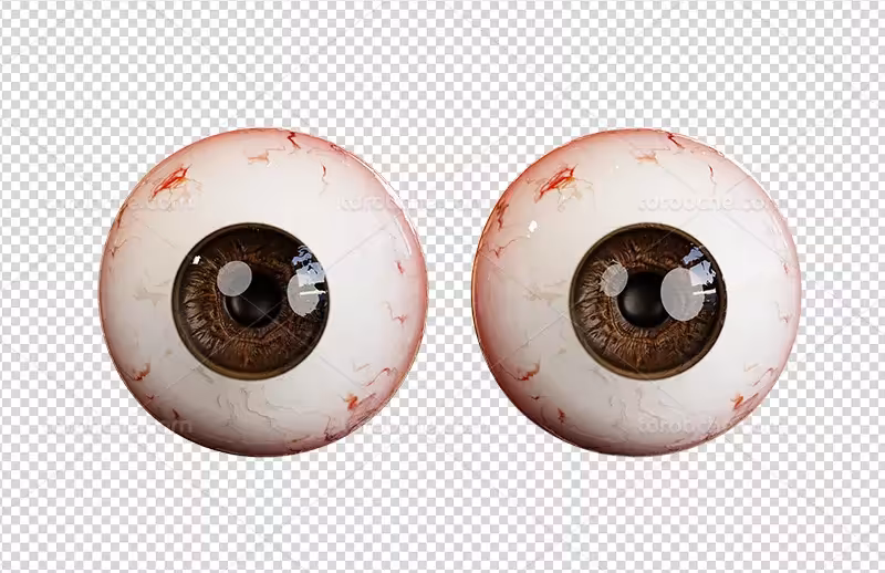 عکس PNG کره چشم | گرافیک با طعم تربچه