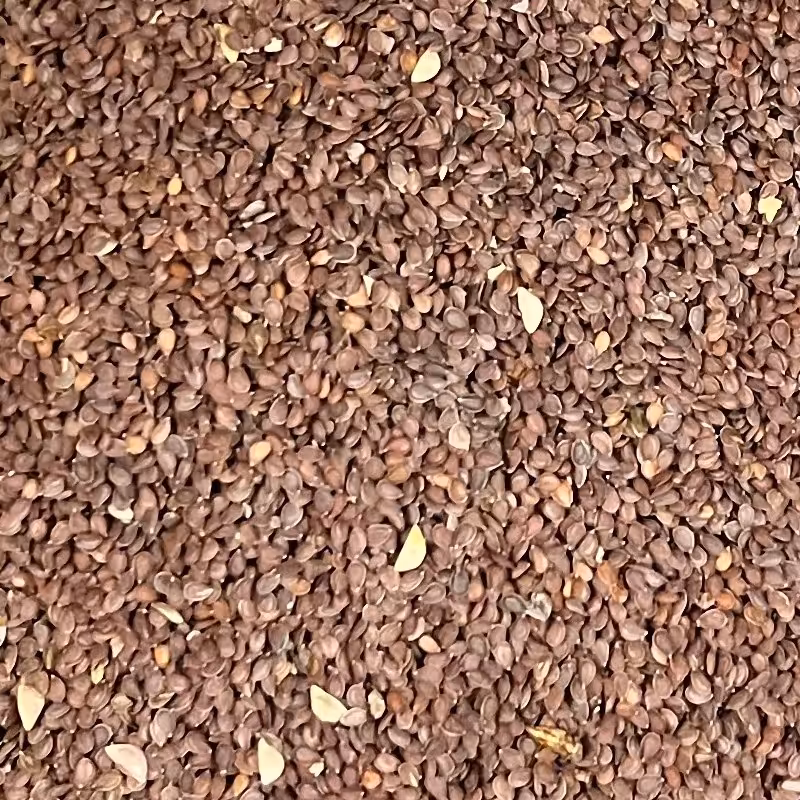 قدومه شیرازی (تودری) 100گرم از عمده فروشی ادویه کیامد 