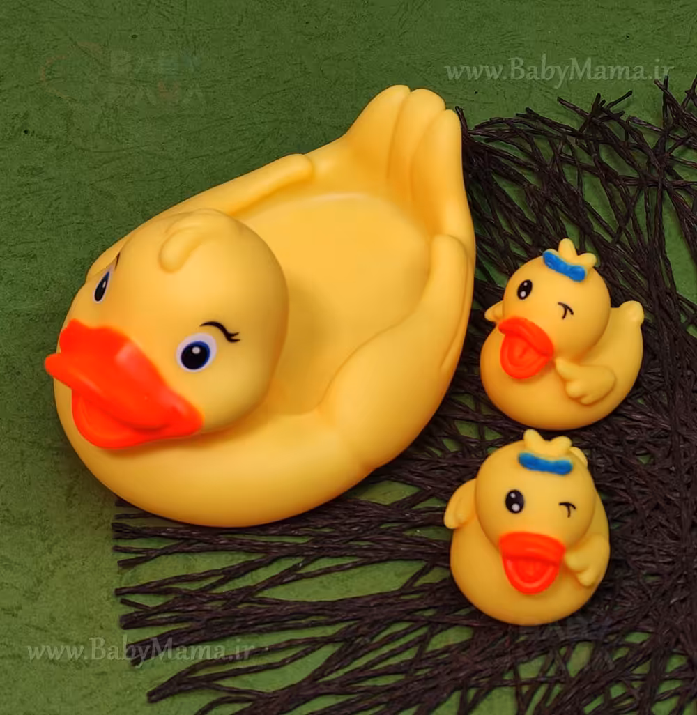 پوپت 2 عددی اردک و جوجه
