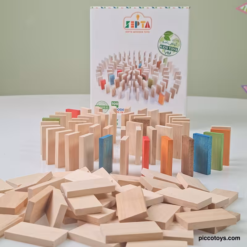 اسباب بازی چوبی دومینو 100 تکه مدل 0030