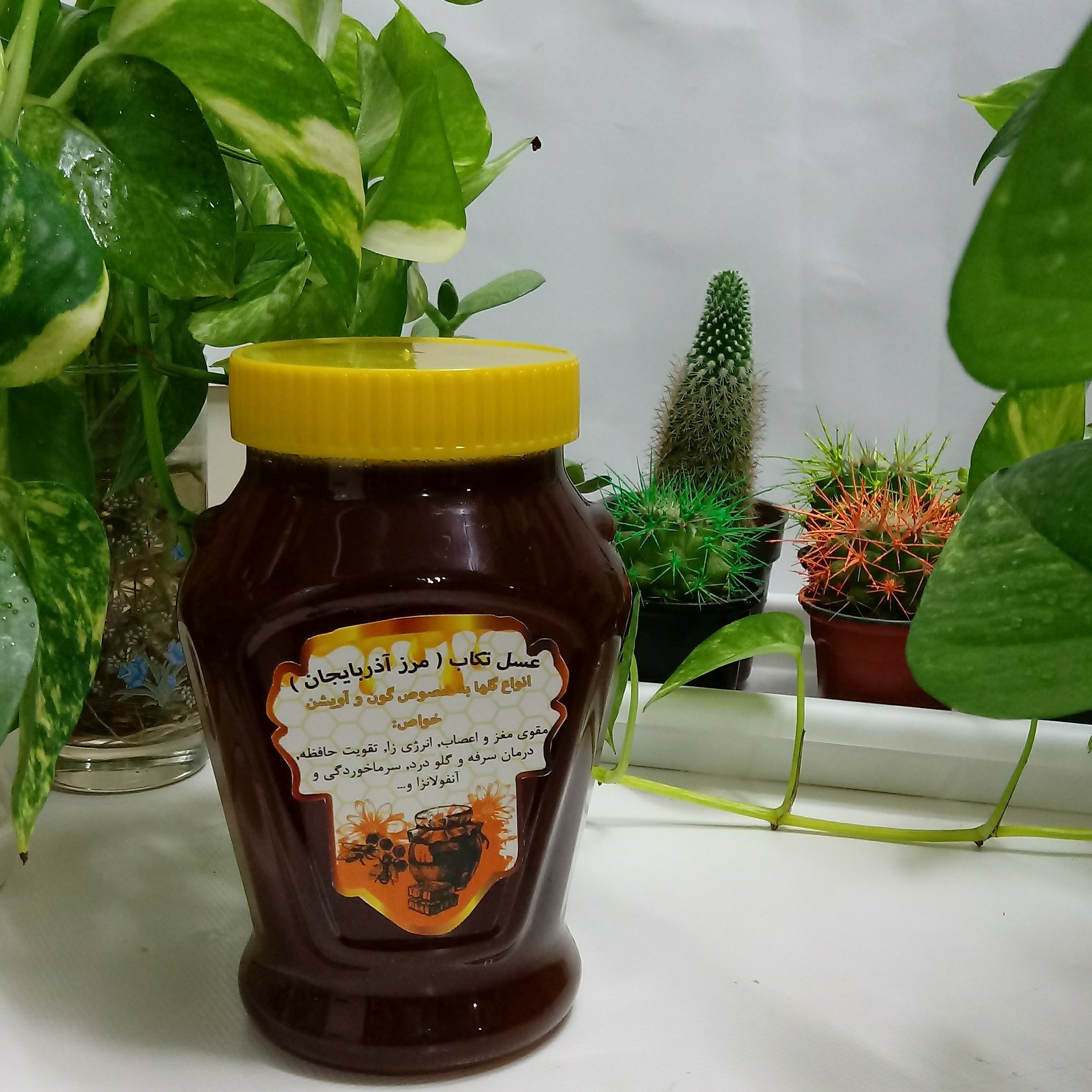 (عسل تکاب وخام)( عسل آویشن و گون و) و (دارای طبع گرم )