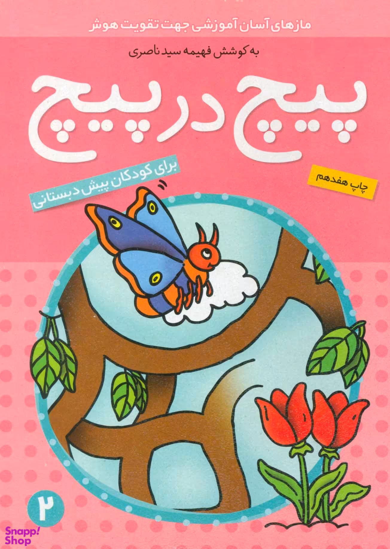 کتاب پیچ در پیچ اثر فهیمه سید ناصری انتشارات ذکر جلد 2