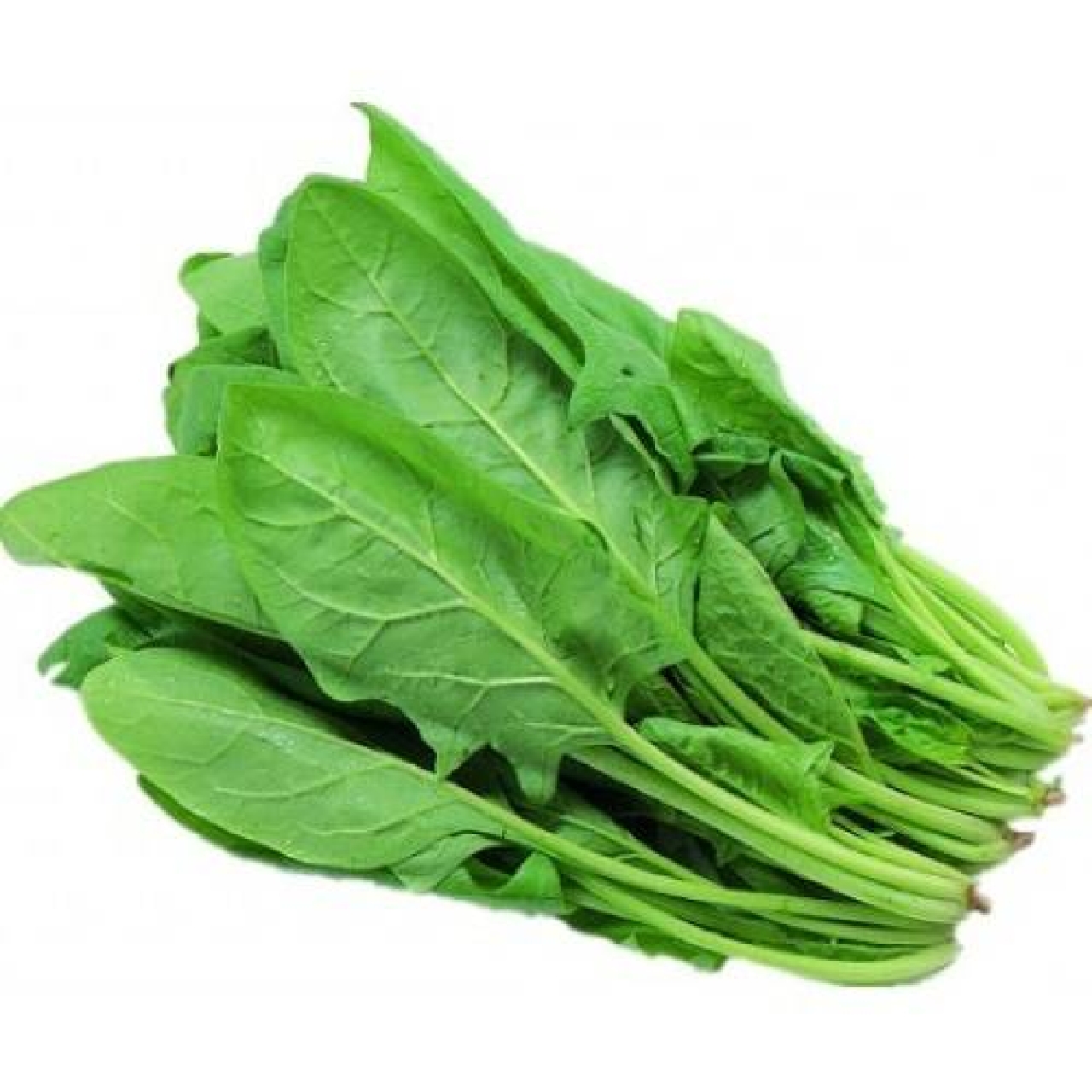 بذر اسفناج 80 گرمی