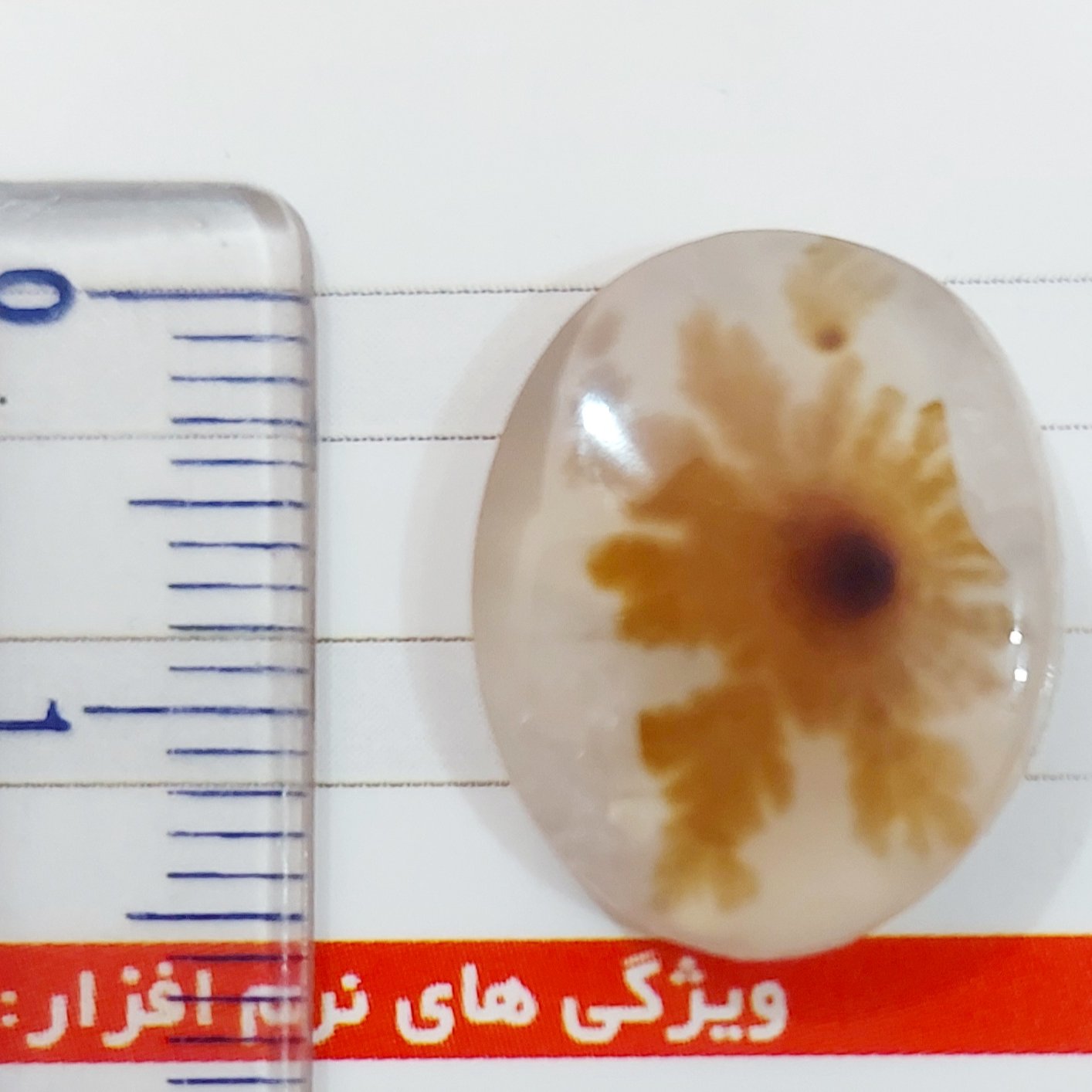 عقیق شجر_قائن