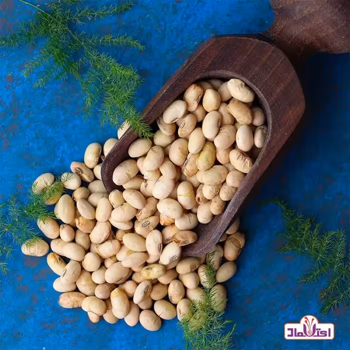 سویا آجیلی تازه 250 گرمی اعتماد ترش نمکی و خوش طعم | amazonchi