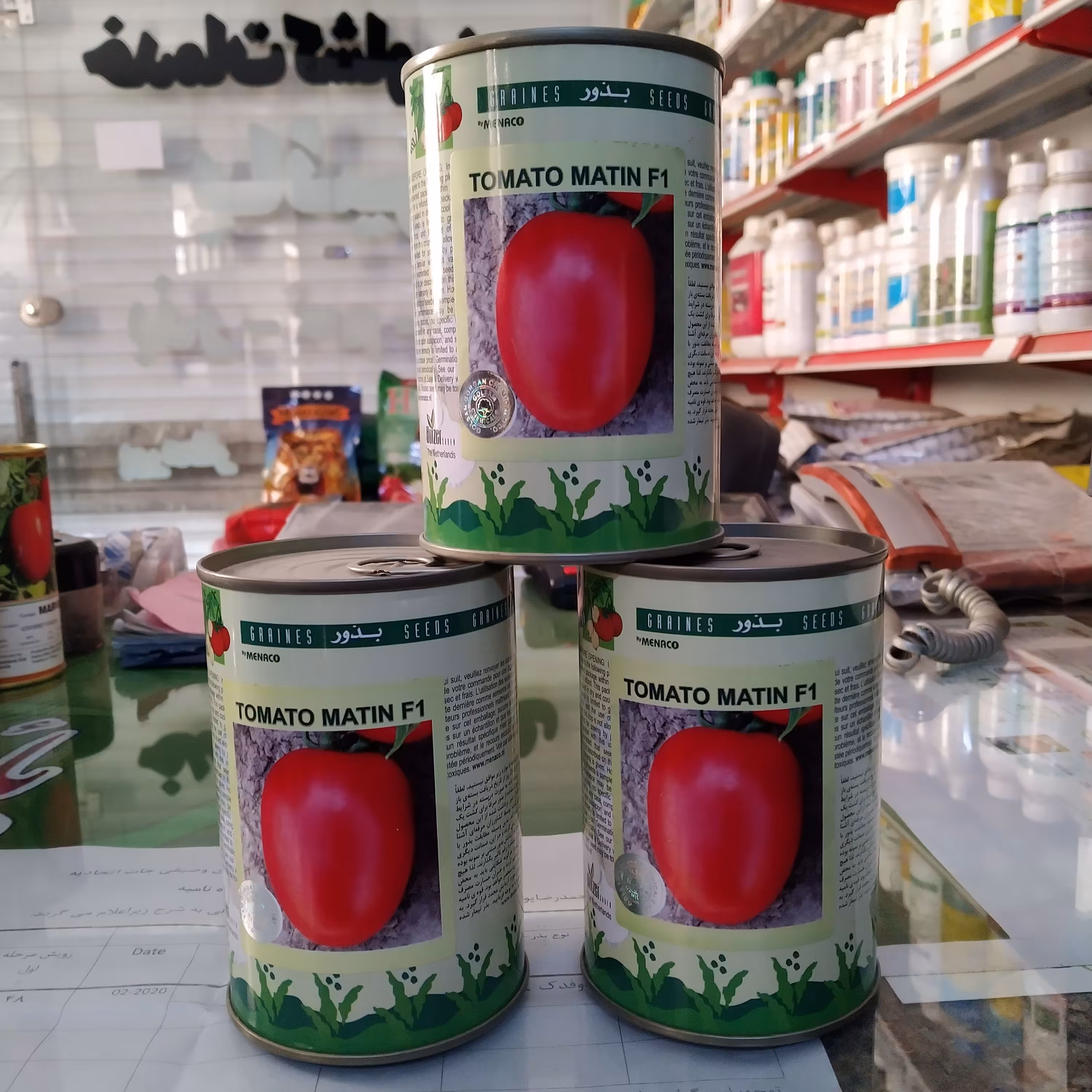 بذر گوجه متین