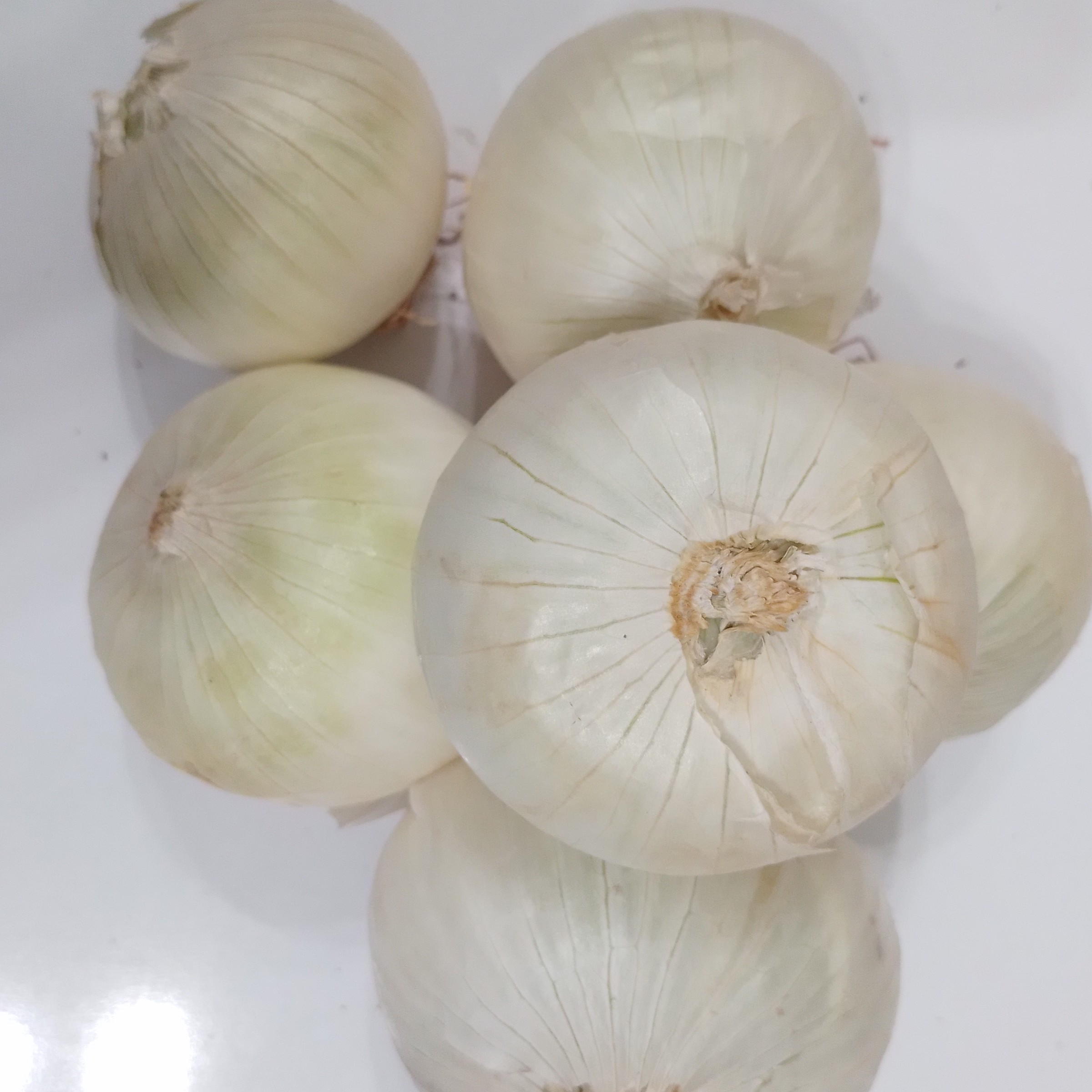 پیاز سفید یک کیلو گرم