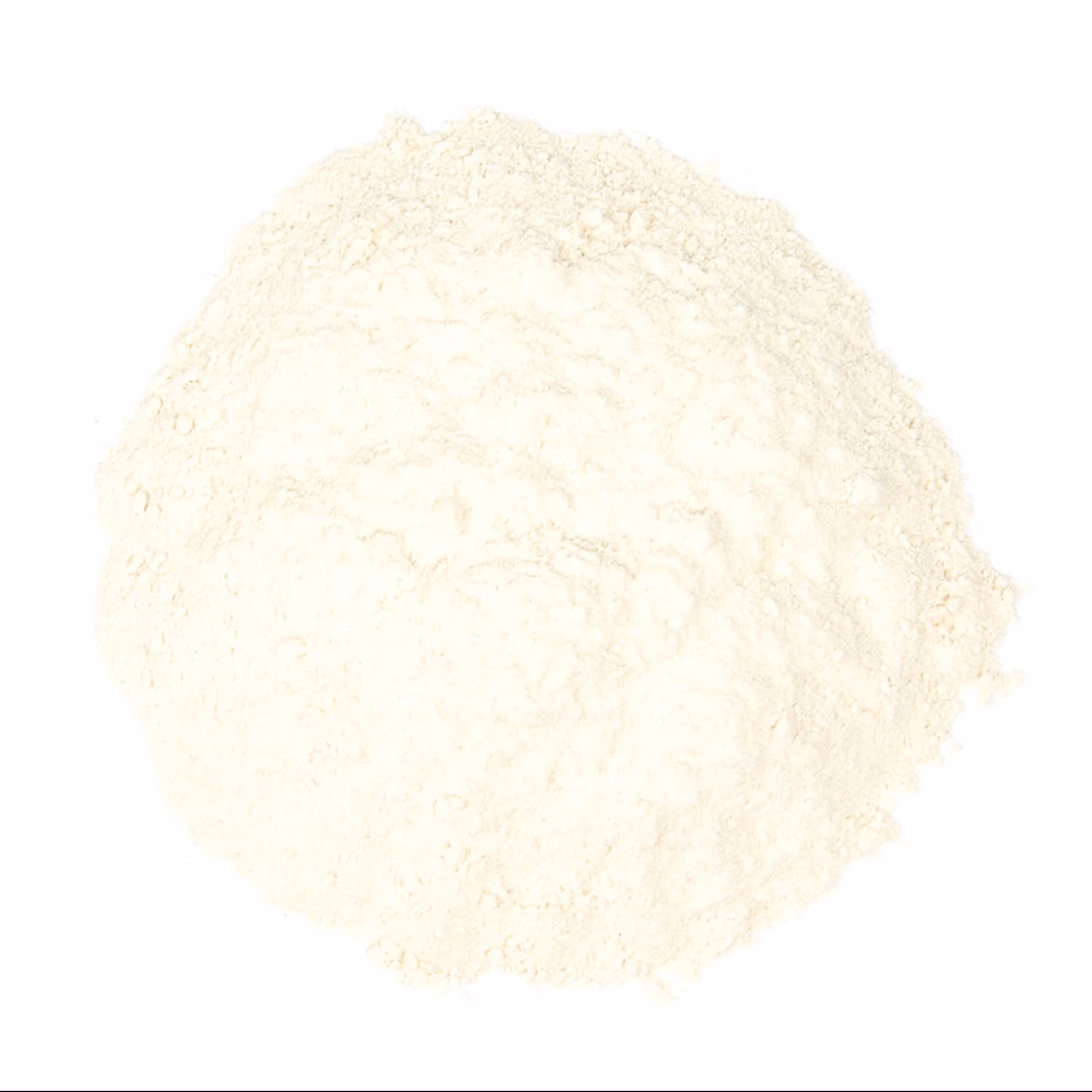 پودر پیاز یک کیلویی اعلا و معطر