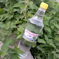 عرق گزنه سوادکوه (یک لیتری)