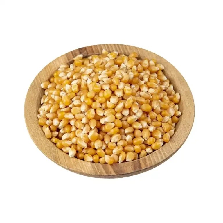 ذرت خارجی مخصوص پاپ کرن، بسته بندی 1 کیلویی