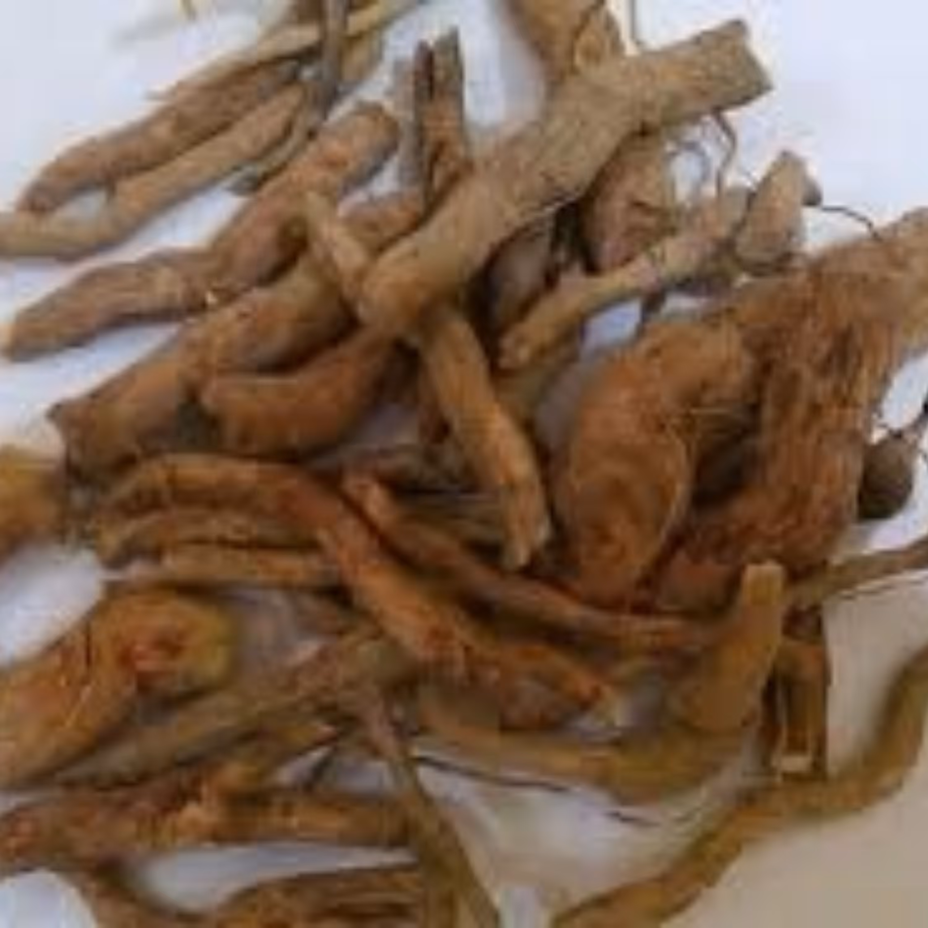 ریشه اسرول هندی 100 گرمی 