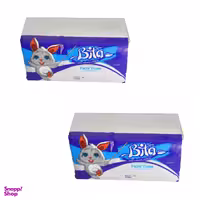 دستمال کاغذی 250 برگ بی تا کد 10 بسته 2 عددی