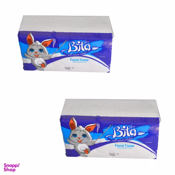 دستمال کاغذی 250 برگ بی تا کد 10 بسته 2 عددی