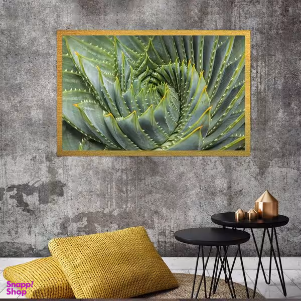 تابلو بکلیت طرح گل کاکتوس مدل قاب شاسی T-S8497