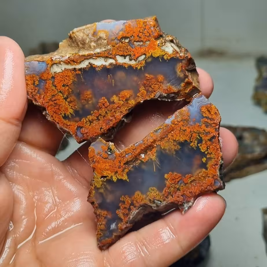 4 عدد عقیق شجر 