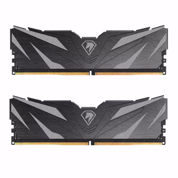 رم نتک Shadow II 32GB 16GBx2 5600MHz CL40 DDR5 Black