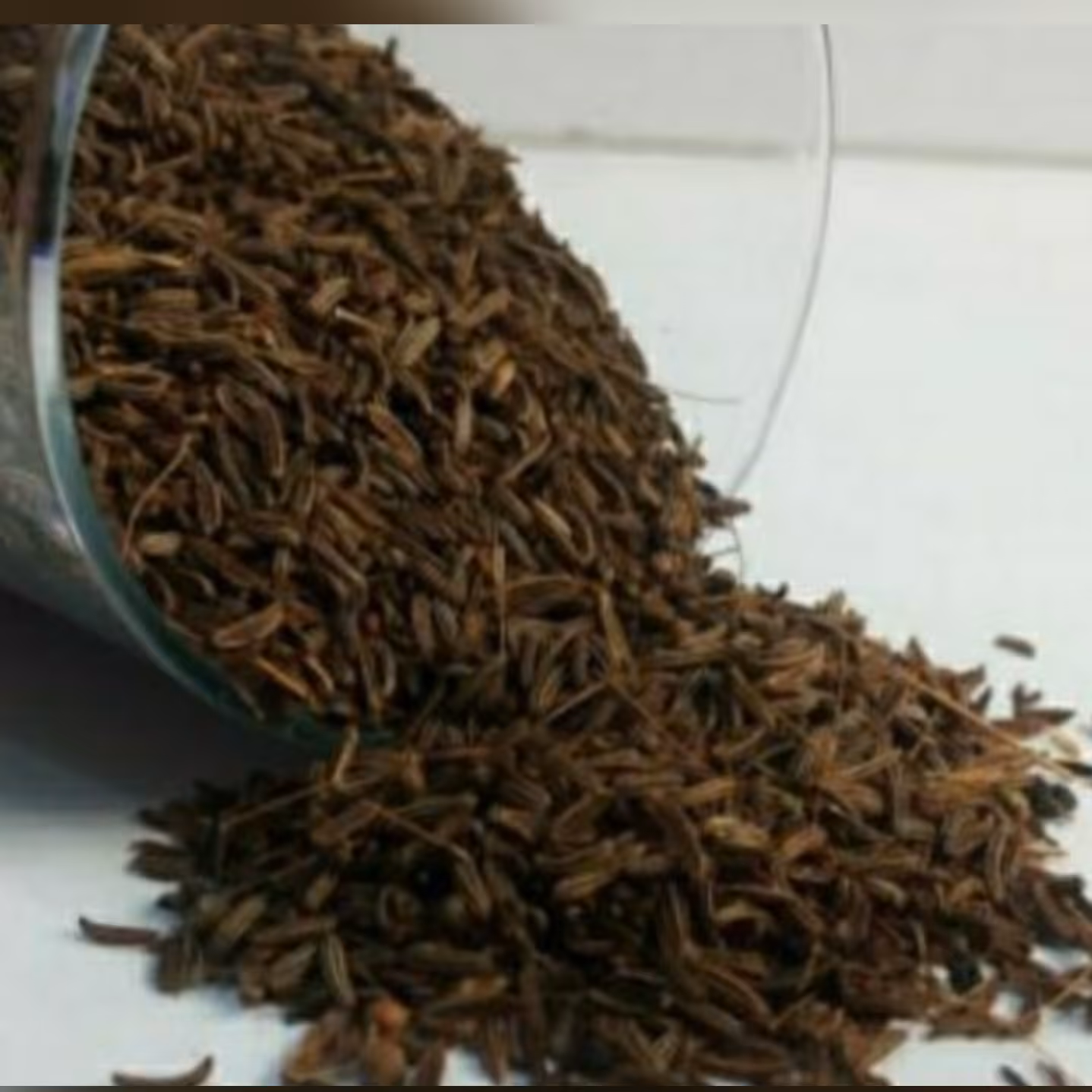 زیره سیاه کوهی ارگانیک 250گرمی تضمین کیفیت بسیار خوش عطر 