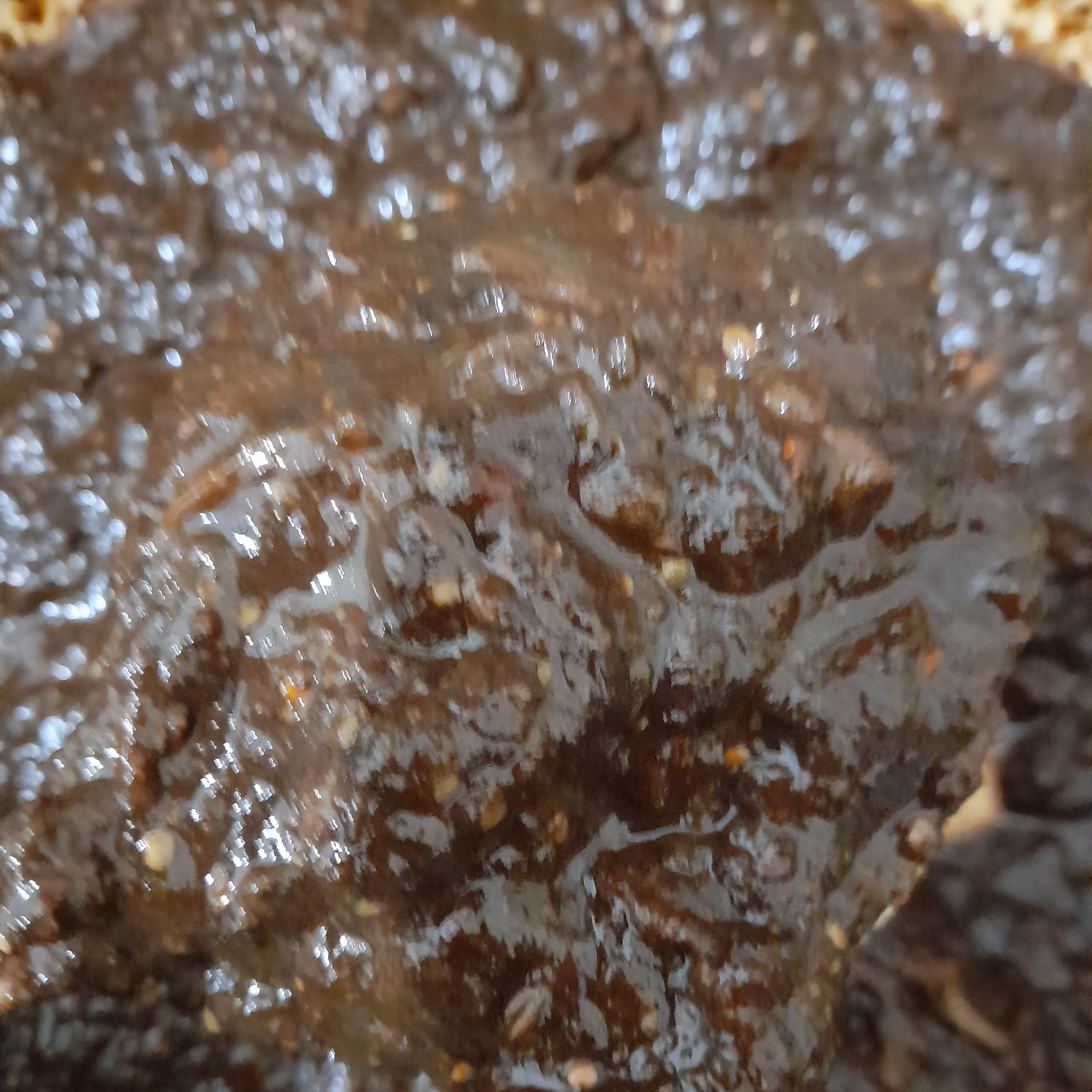 بادمجون تیکه ای با رب انار ( 900 گرمی)