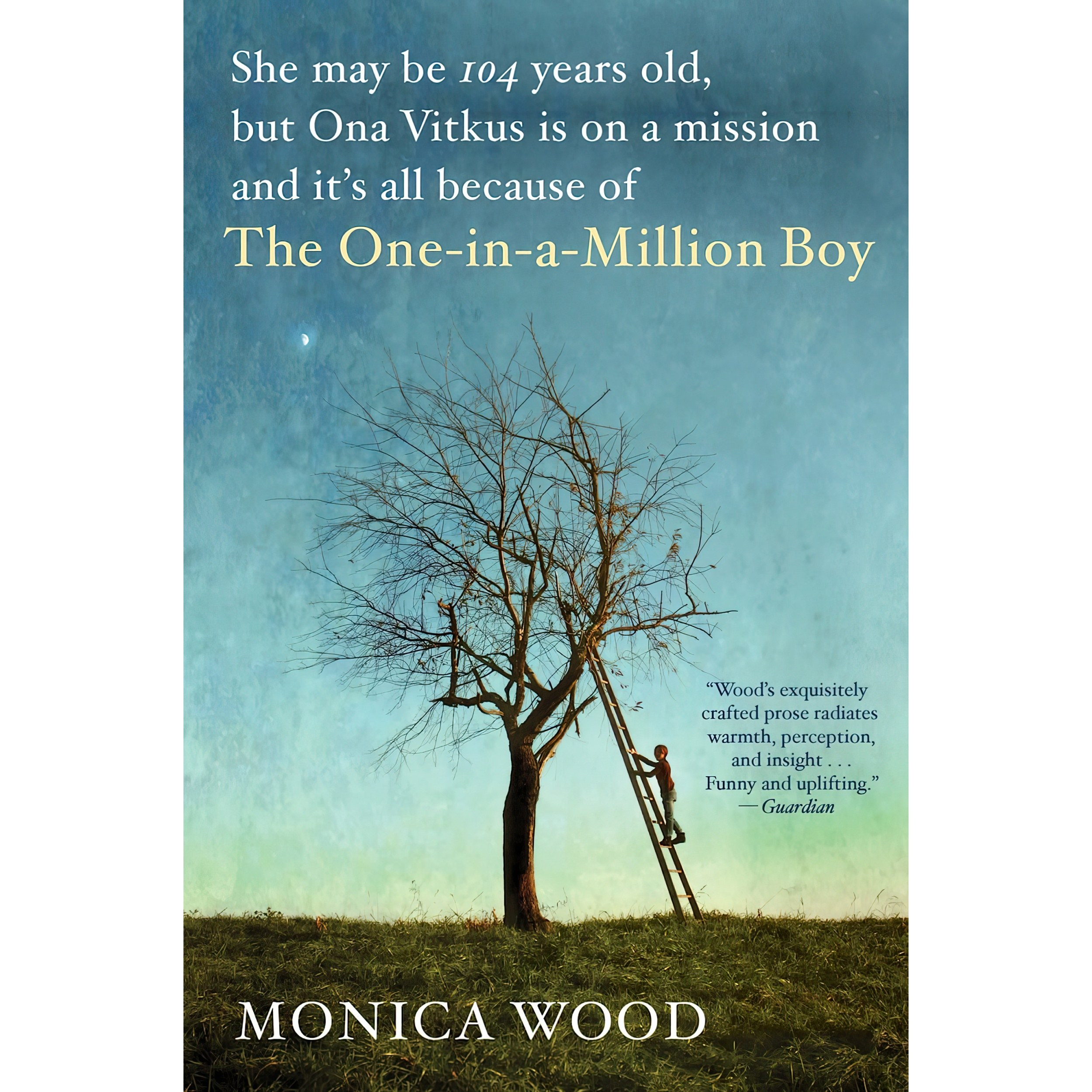 کتاب زبان اصلی The OneInAMillion Boy اثر Monica Wood انتشارات Mariner Books
