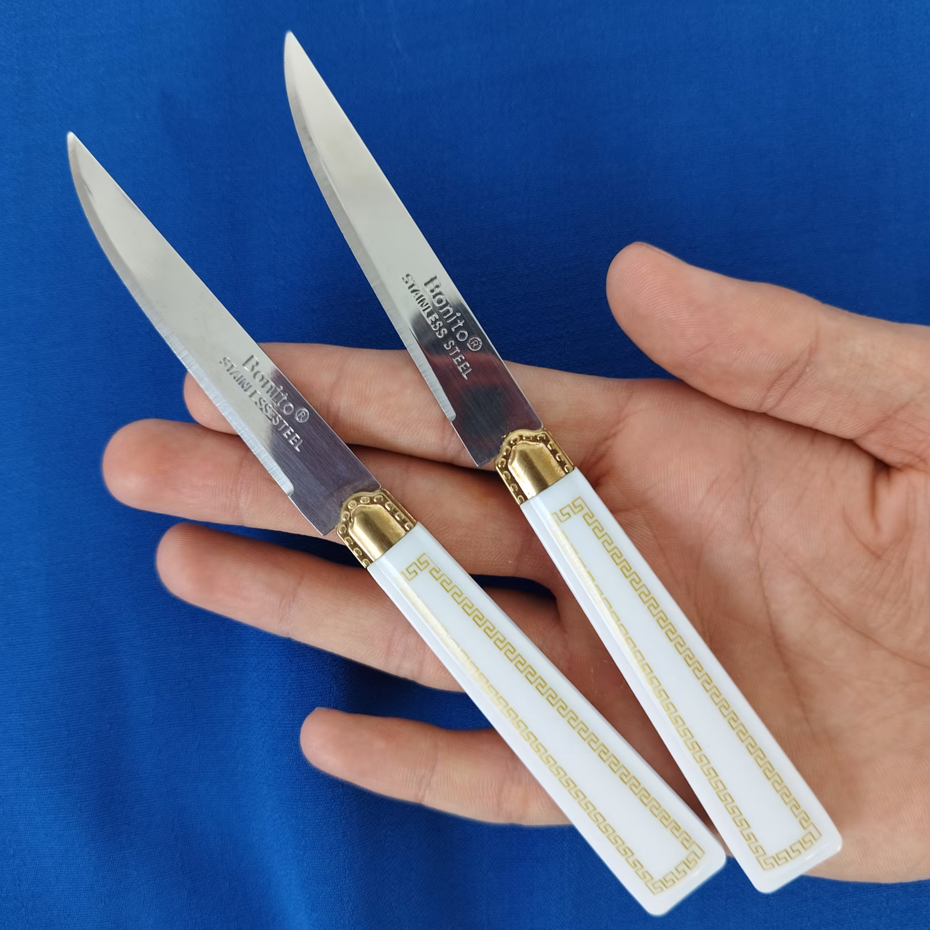 چاقو میوه خوری بونیتو مدل ورساچه بسته 12 عددی 